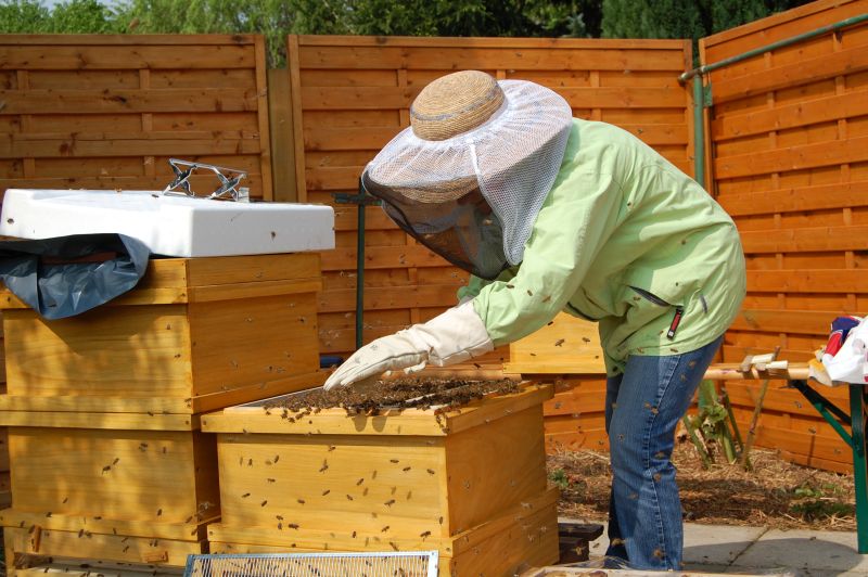2014-Monika-in-ihrem-Bienenreich.JPG